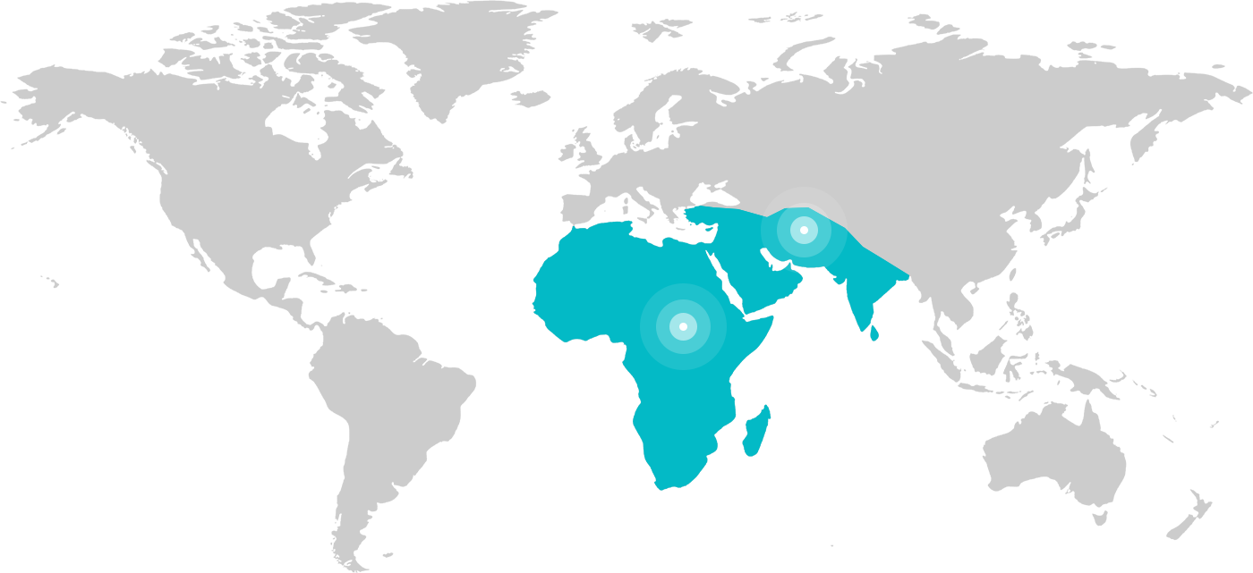 矿业区域布局地图